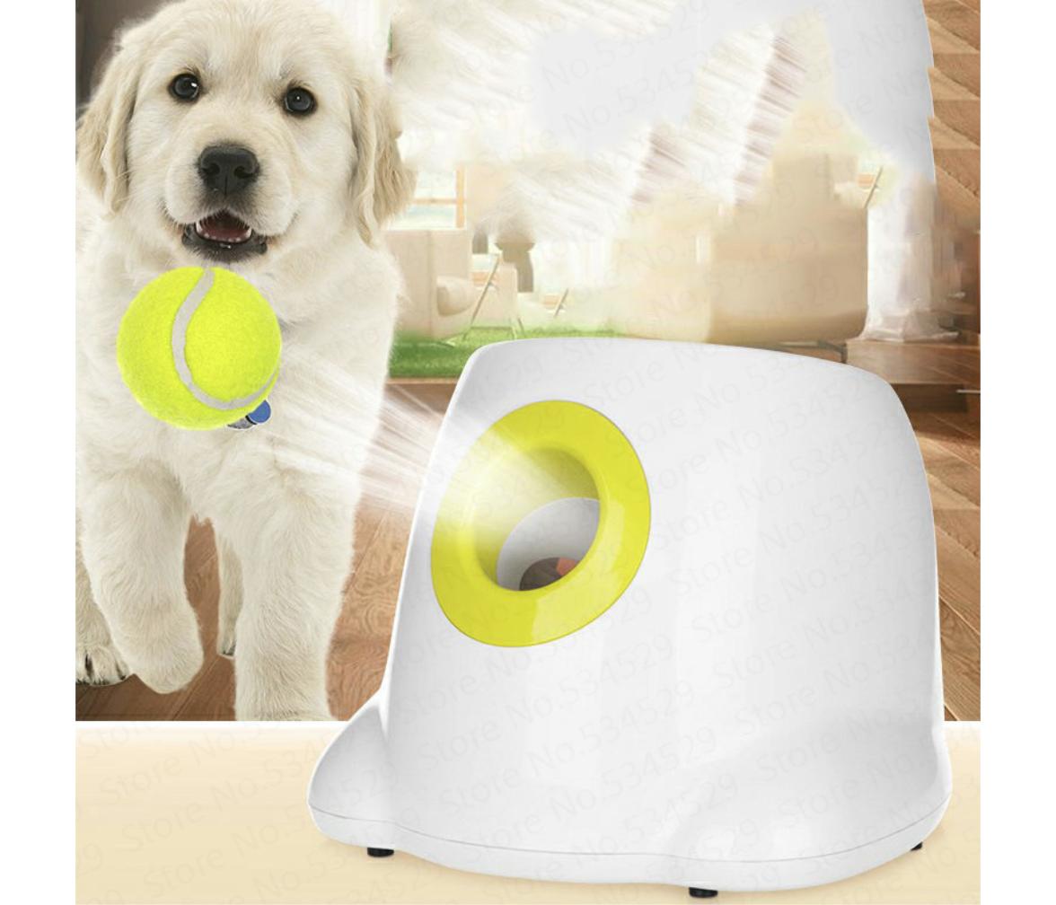 Golden retriever puppy holding a tennis ball beside the white automatic dog ball launcher