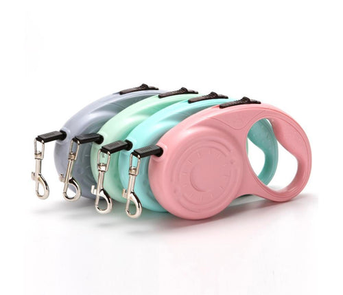 Automatic retractable dog leads in pink, teal, and grey, coiled and shown together